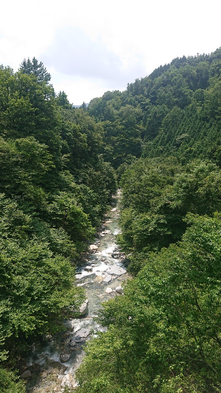 f:id:ikarugasan:20210304125553j:image f:id:ikarugasan:20210304125553j:image