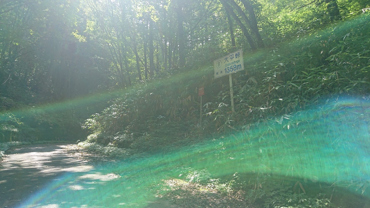 f:id:ikarugasan:20210305123645j:image f:id:ikarugasan:20210305123645j:image