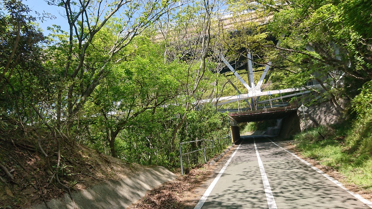 f:id:ikarugasan:20210502113018j:image f:id:ikarugasan:20210502113018j:image