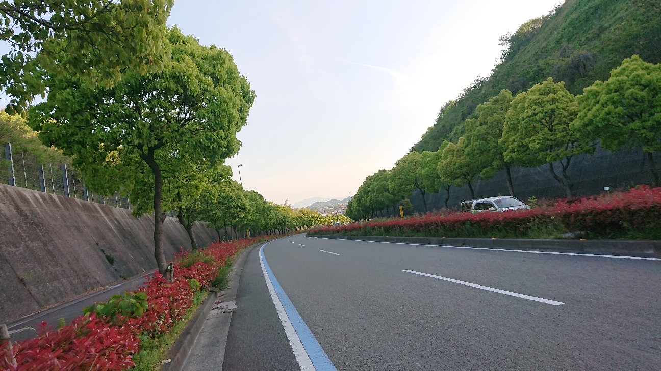 f:id:ikarugasan:20210502141728j:image f:id:ikarugasan:20210502141728j:image