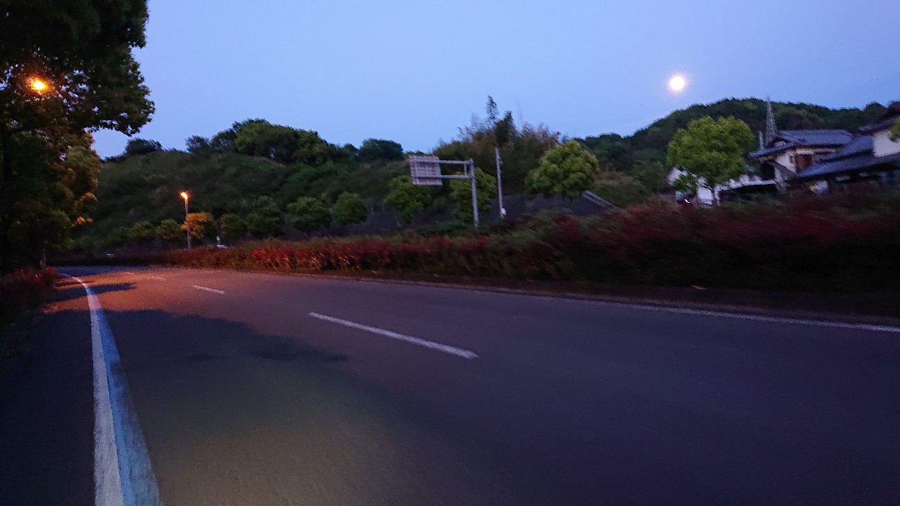 f:id:ikarugasan:20210502142622j:image f:id:ikarugasan:20210502142622j:image