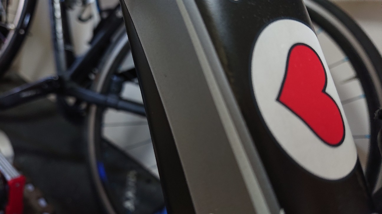 新しいバイクが来ました【DE ROSA SUPERKING SR】 - 山を登りて戻り来