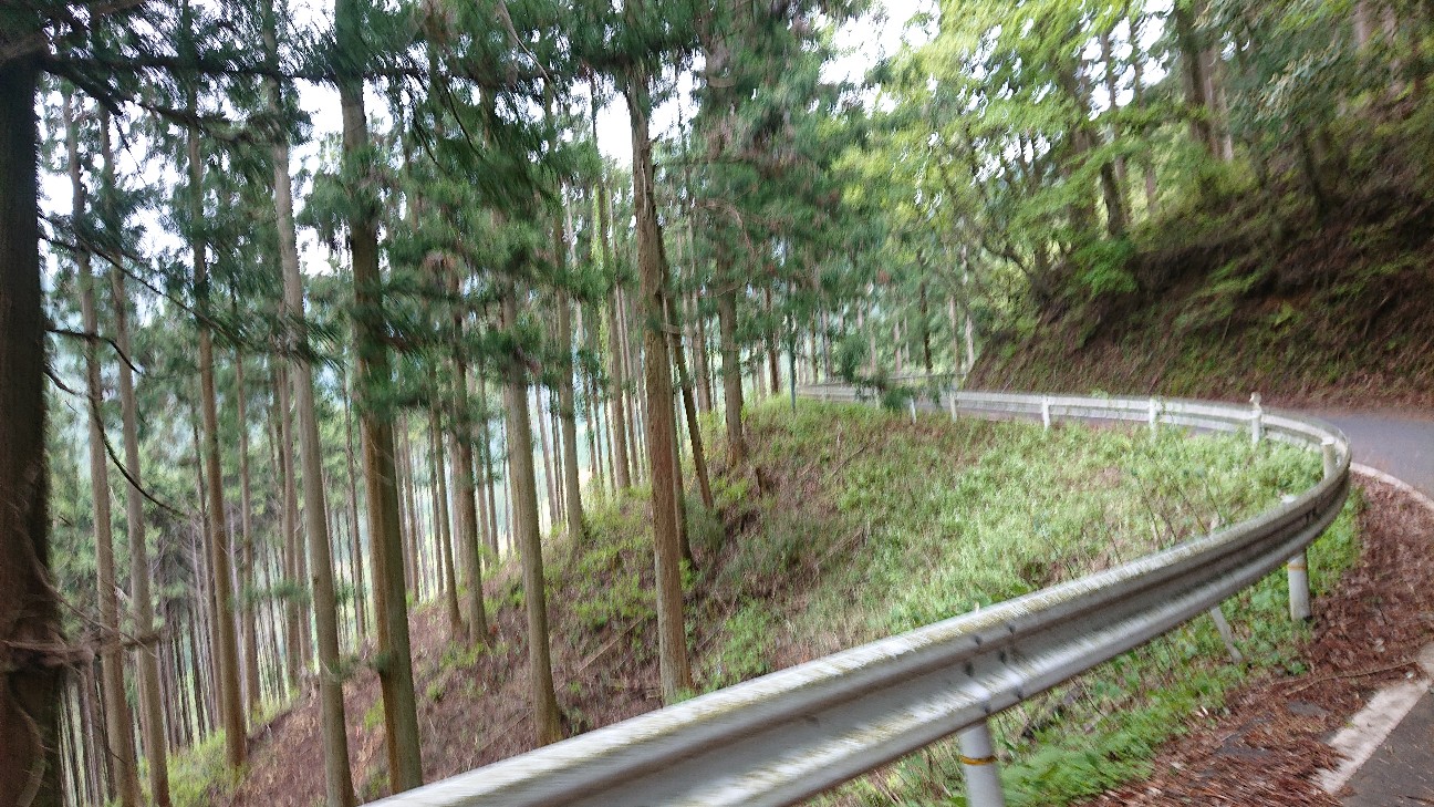 f:id:ikarugasan:20220506142041j:image