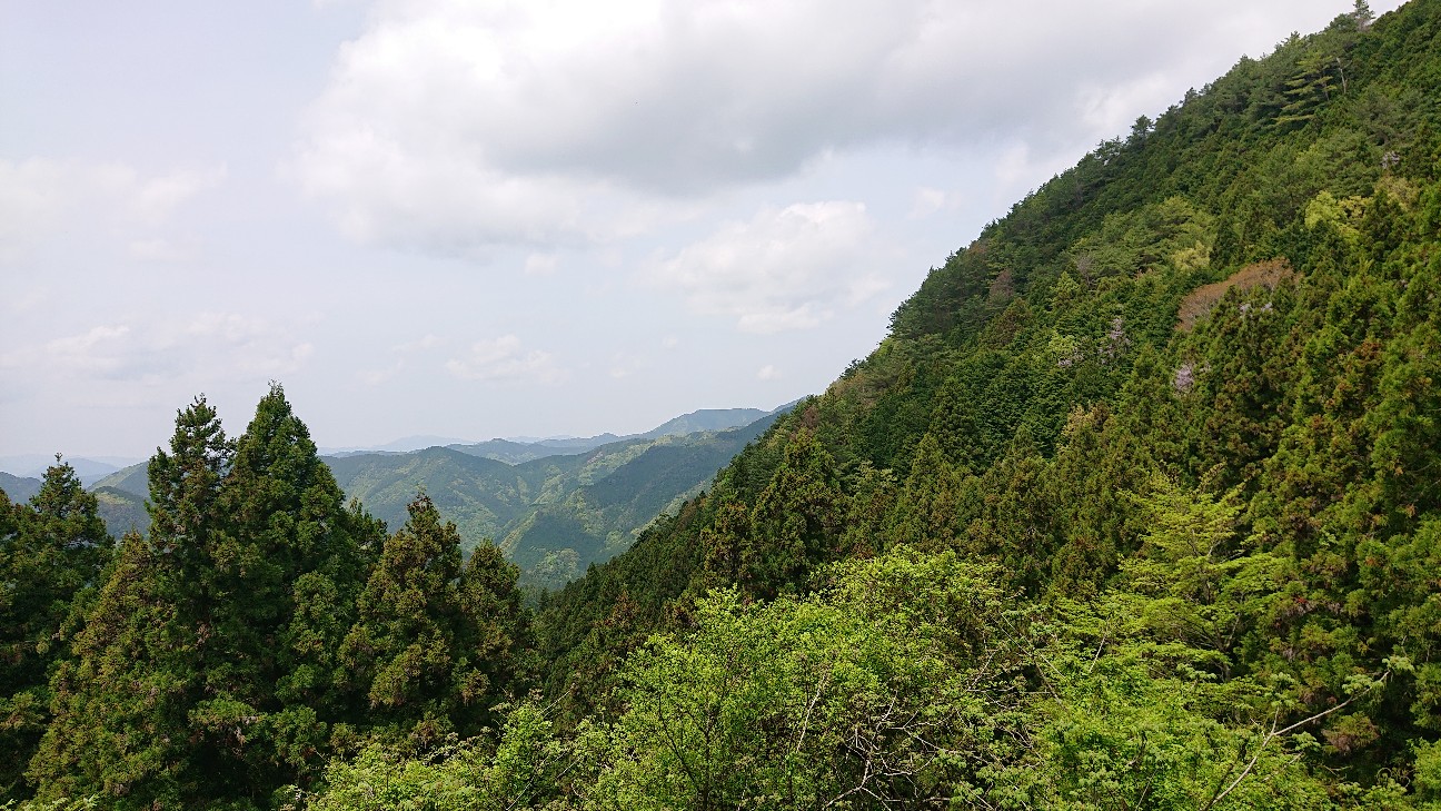 f:id:ikarugasan:20220506142109j:image