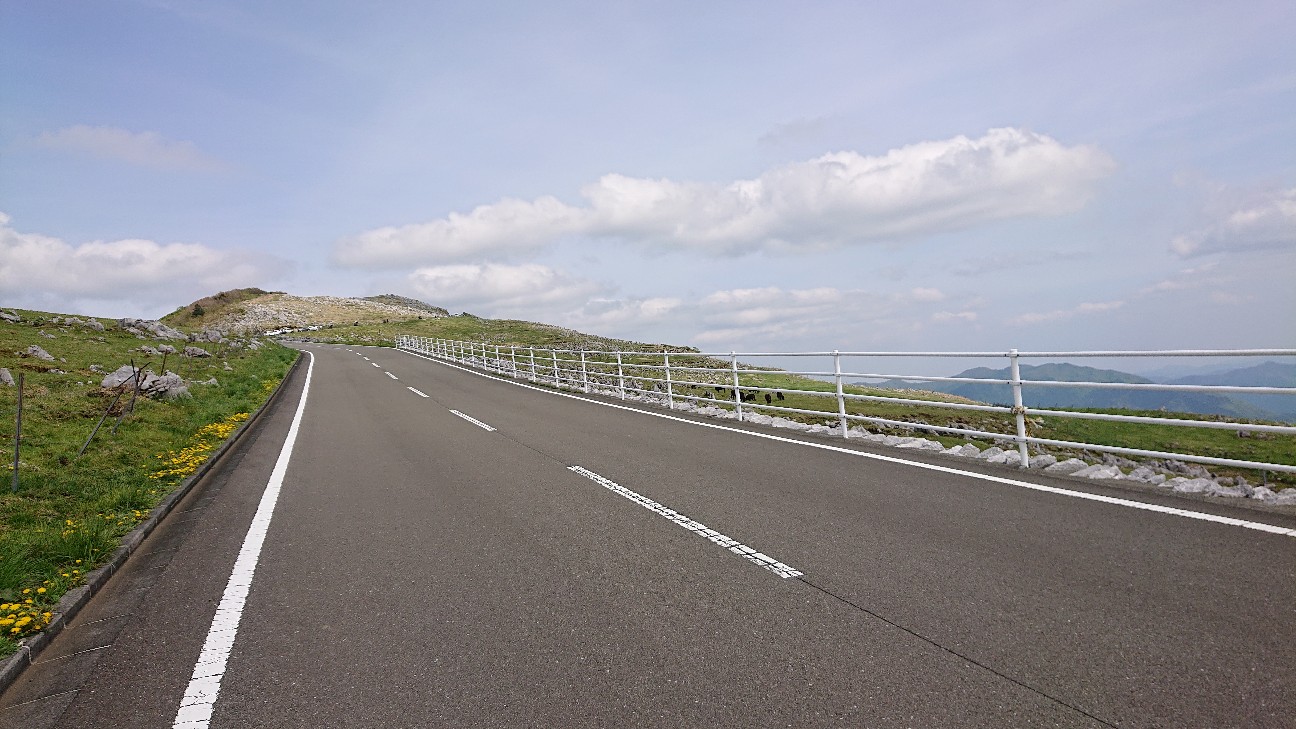 f:id:ikarugasan:20220506144954j:image f:id:ikarugasan:20220506144954j:image