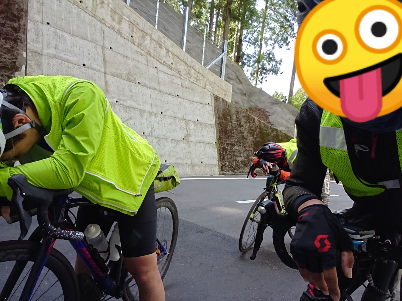 f:id:ikarugasan:20220507152435j:image