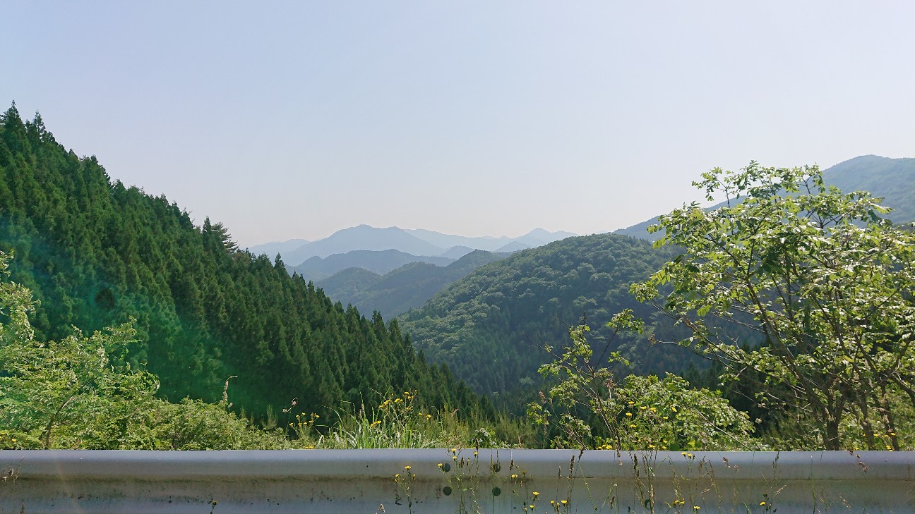 f:id:ikarugasan:20220719164546j:image f:id:ikarugasan:20220719164546j:image