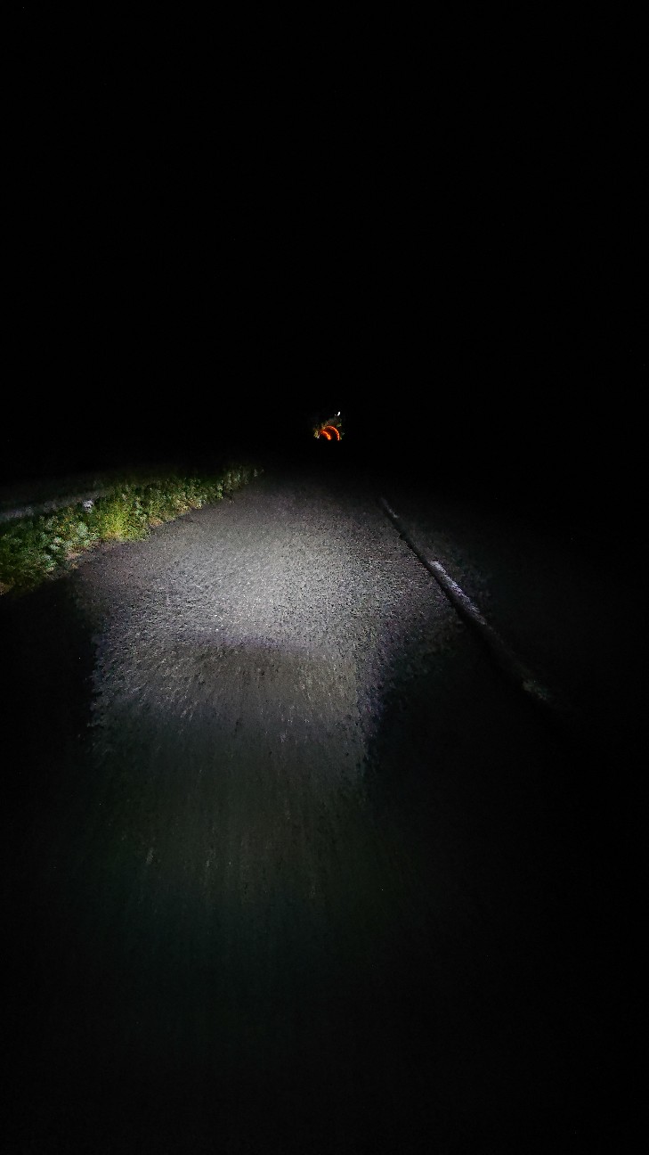 f:id:ikarugasan:20220724112314j:image f:id:ikarugasan:20220724112314j:image