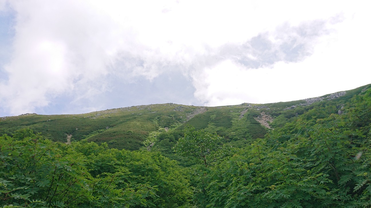 f:id:ikarugasan:20240830124305j:image f:id:ikarugasan:20240830124305j:image