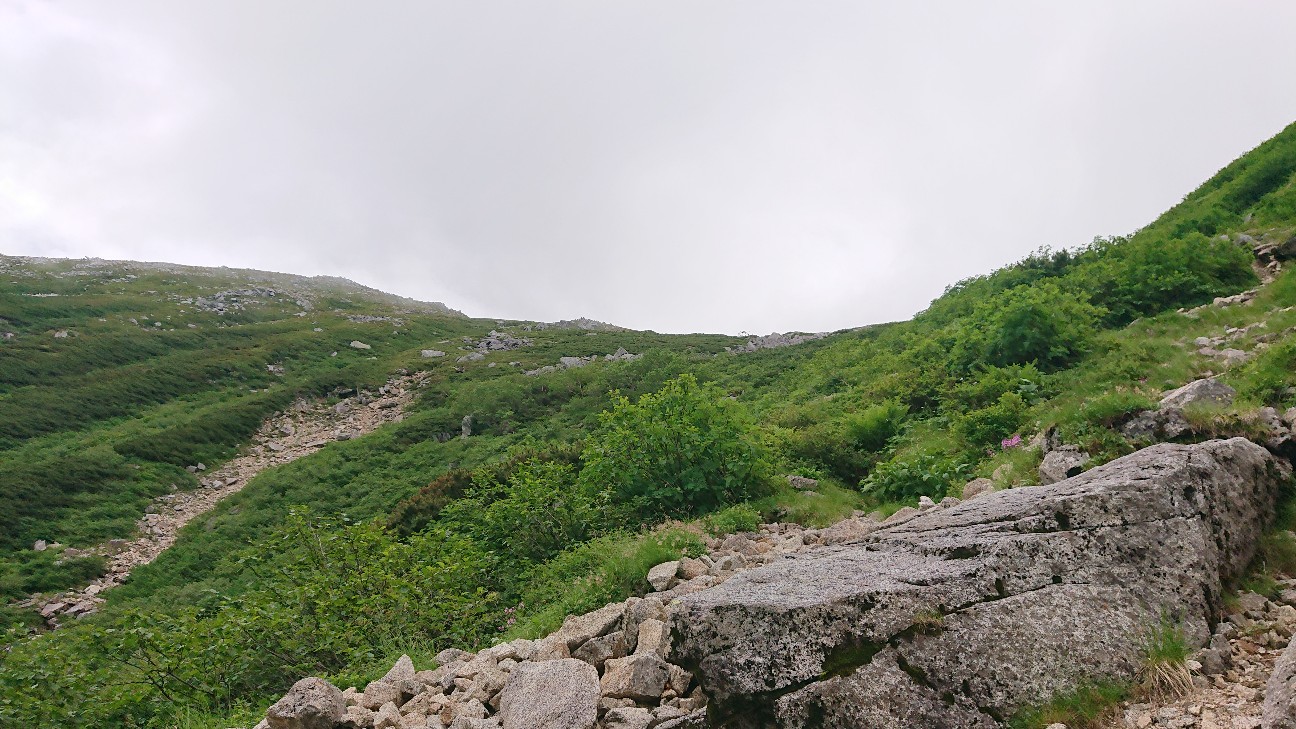 f:id:ikarugasan:20240830124541j:image f:id:ikarugasan:20240830124541j:image