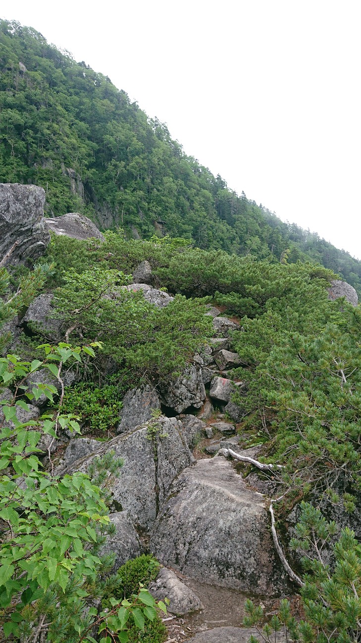 f:id:ikarugasan:20240830172849j:image f:id:ikarugasan:20240830172849j:image