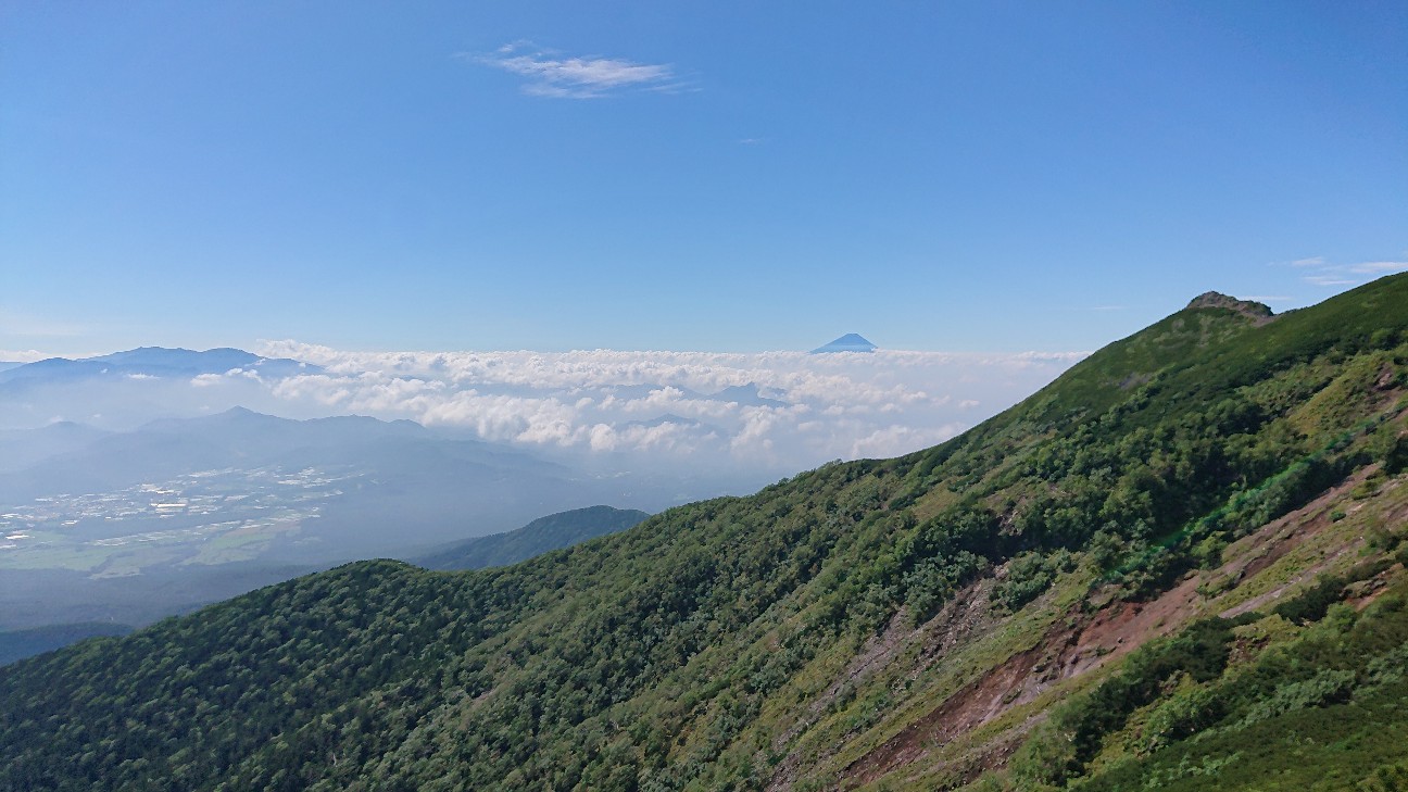 f:id:ikarugasan:20240831075509j:image f:id:ikarugasan:20240831075509j:image