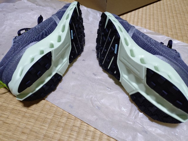 f:id:ikarugasan:20250415182355j:image f:id:ikarugasan:20250415182355j:image