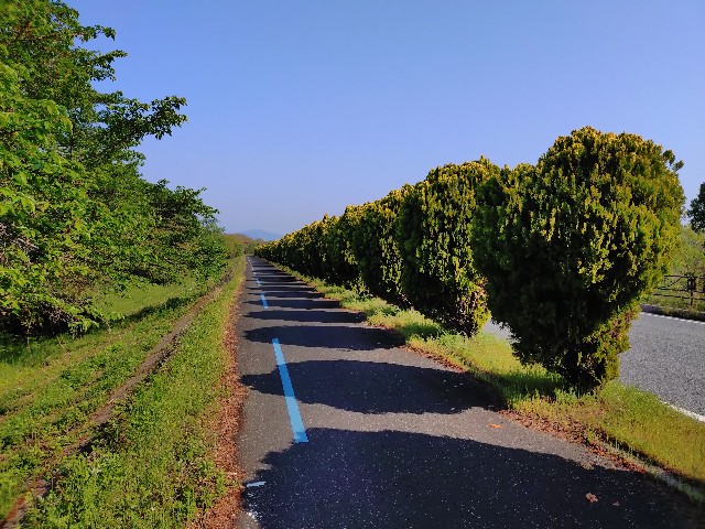 f:id:ikarugasan:20250508075409j:image f:id:ikarugasan:20250508075409j:image