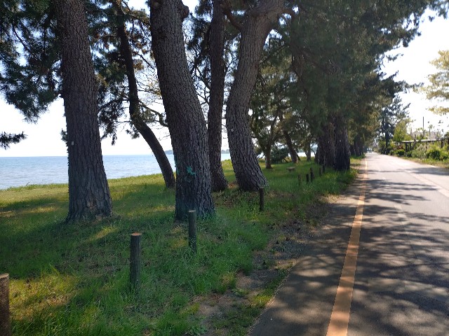 f:id:ikarugasan:20250509074410j:image f:id:ikarugasan:20250509074410j:image