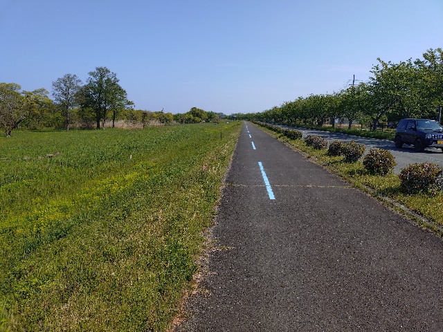 f:id:ikarugasan:20250509200121j:image f:id:ikarugasan:20250509200121j:image