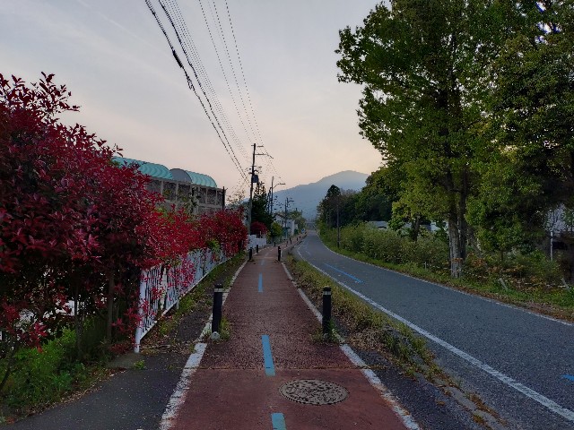 f:id:ikarugasan:20250512074644j:image f:id:ikarugasan:20250512074644j:image