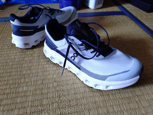 f:id:ikarugasan:20250717182800j:image