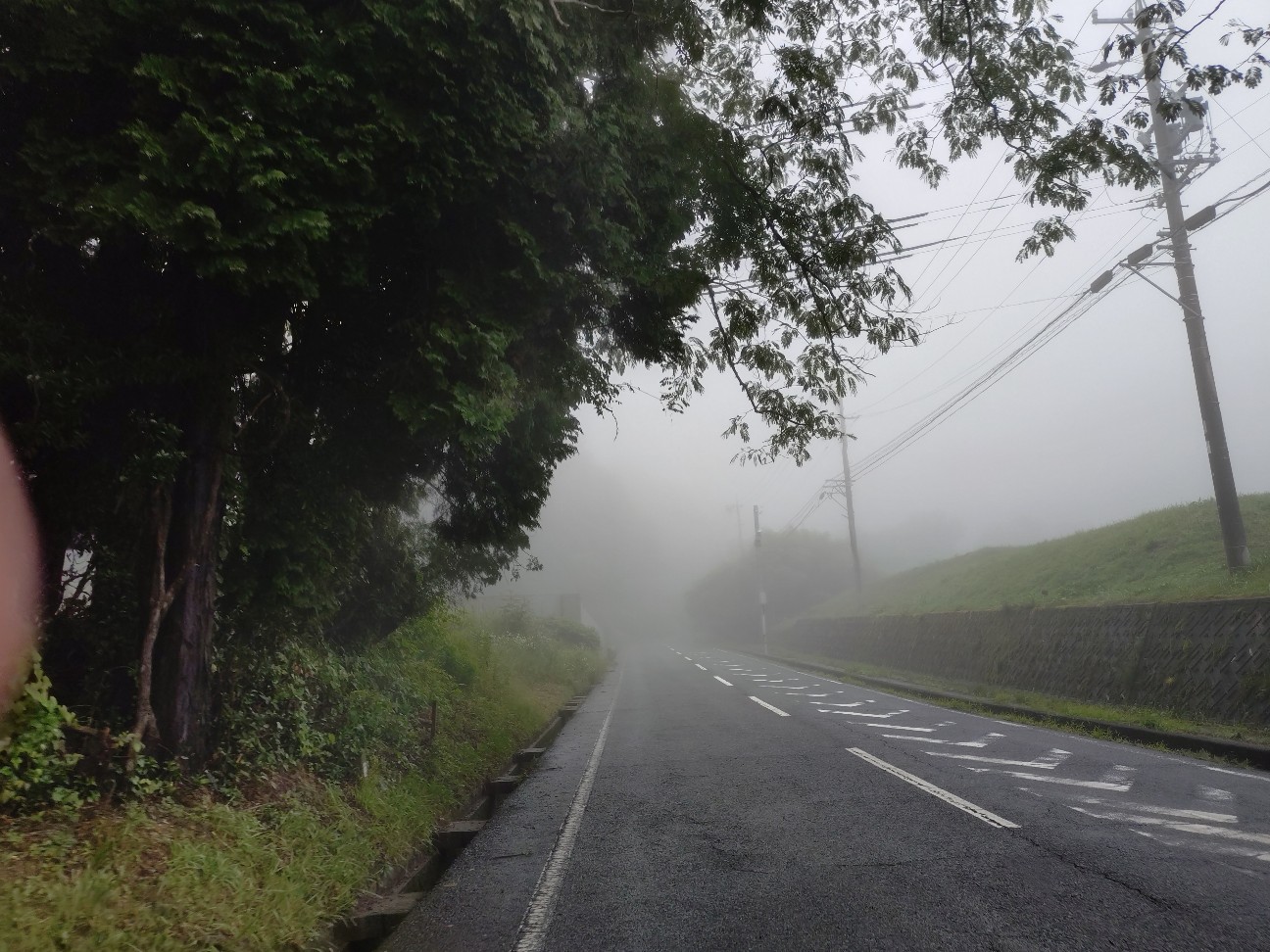 f:id:ikarugasan:20260627193714j:image
