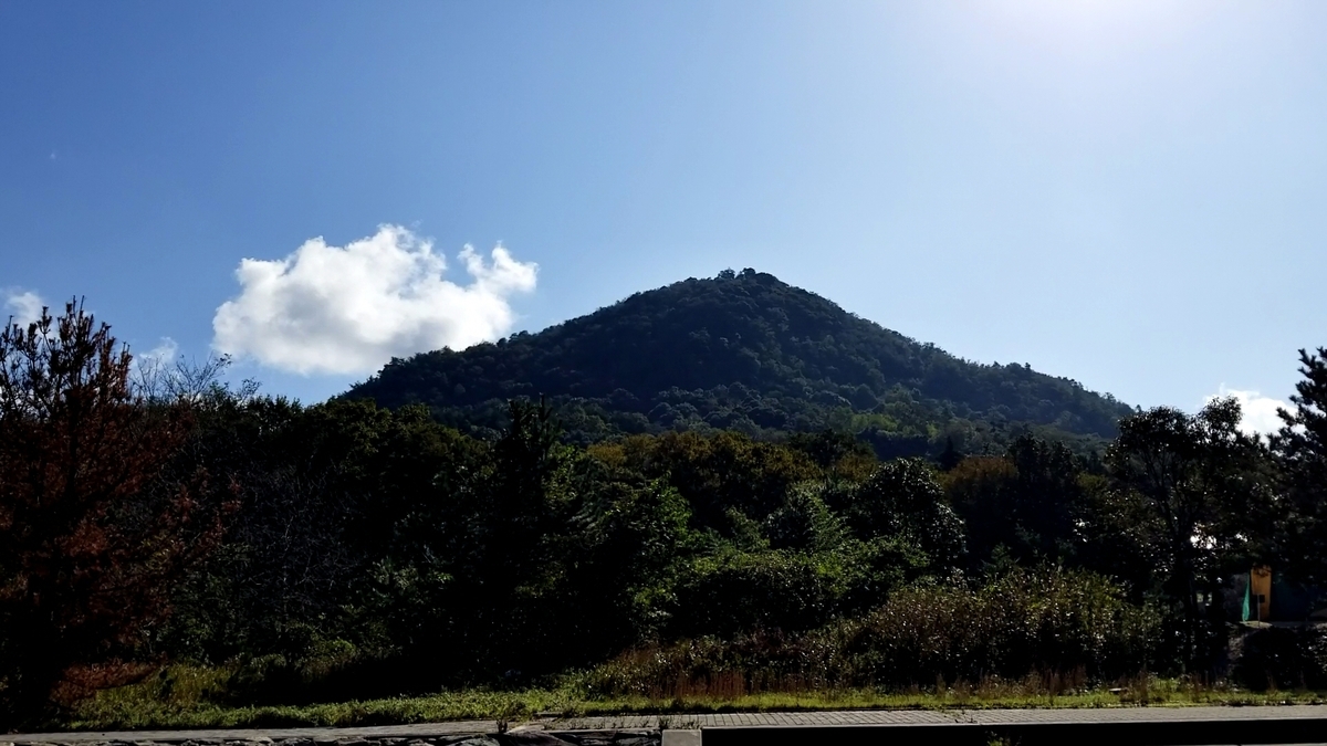 f:id:ikasamaTV:20191114005745j:plain