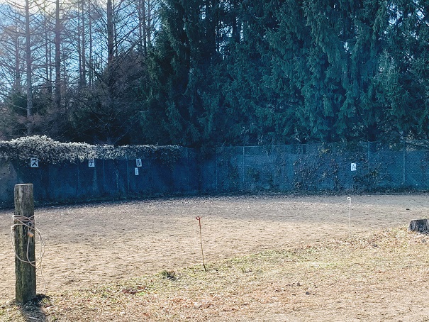 f:id:ikashita-secondolife:20201126125137j:plain