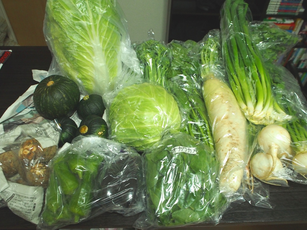 野菜を買いすぎたらどうすればいい 生かし屋さん