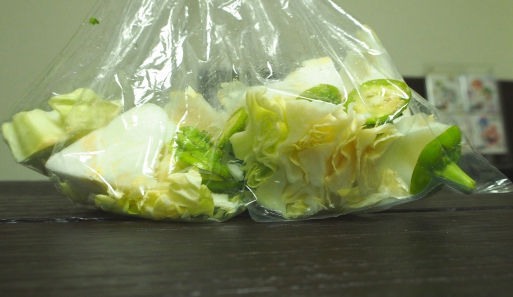 f:id:ikashiya:20161122011521j:plain f:id:ikashiya:20161122011521j:plain