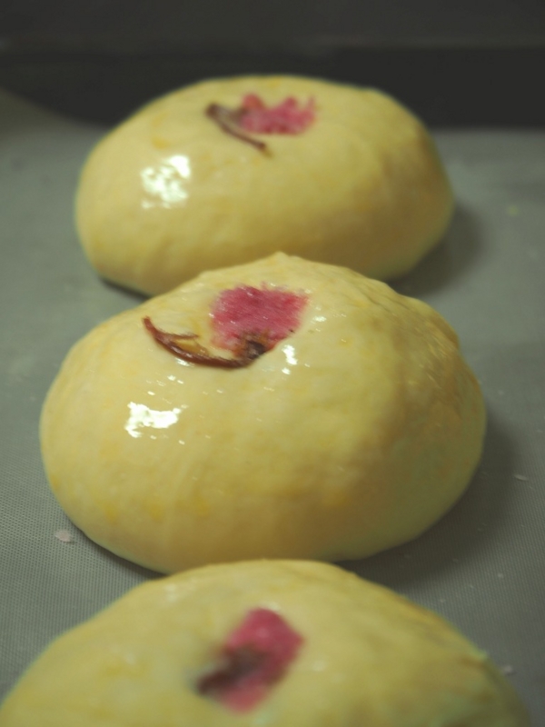 f:id:ikashiya:20170309002607j:plain