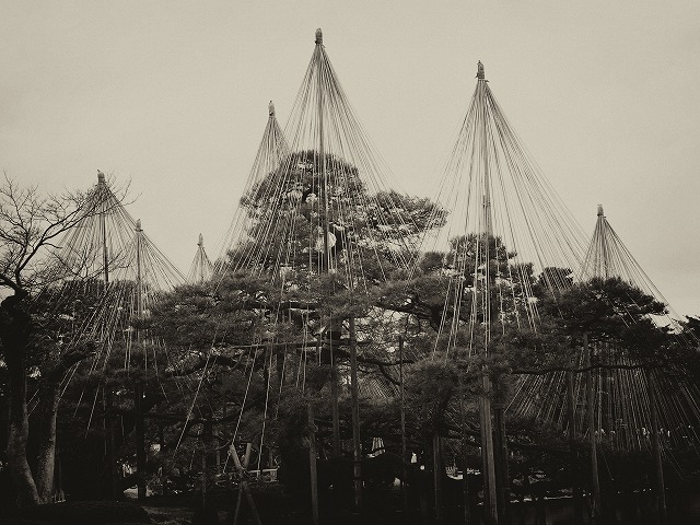 f:id:ikashiya:20170314003541j:plain