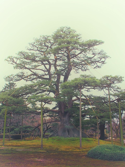 f:id:ikashiya:20170314003543j:plain