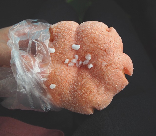 f:id:ikashiya:20170331000513j:plain