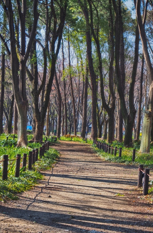 f:id:ikashiya:20170401233221j:plain