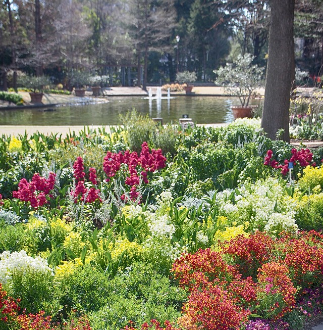 f:id:ikashiya:20170402001554j:plain