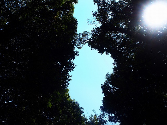 f:id:ikashiya:20170402215748j:plain