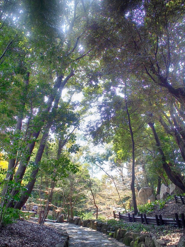 f:id:ikashiya:20170402215749j:plain