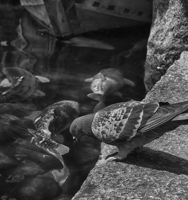 f:id:ikashiya:20170402215755j:plain