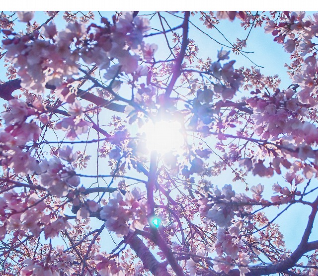 f:id:ikashiya:20170402215801j:plain