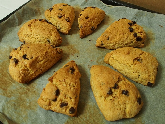 f:id:ikashiya:20170826000957j:plain