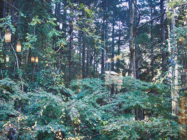 f:id:ikashiya:20171113094044j:plain