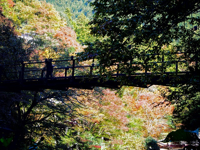 f:id:ikashiya:20171115230140j:plain