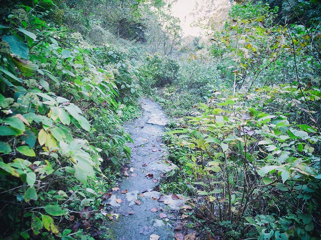 f:id:ikashiya:20171115230148j:plain