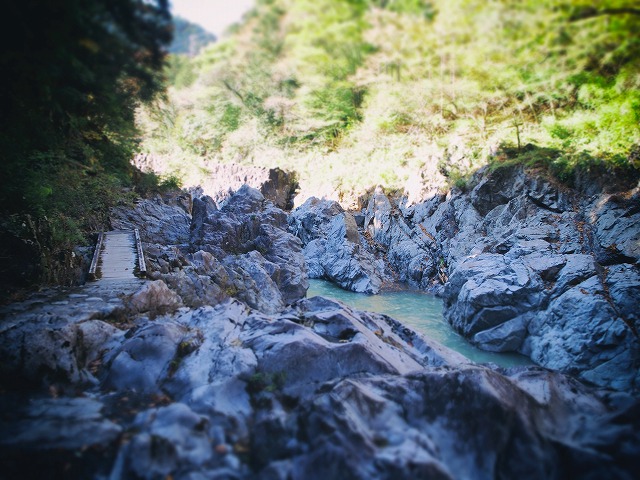 f:id:ikashiya:20171115230223j:plain