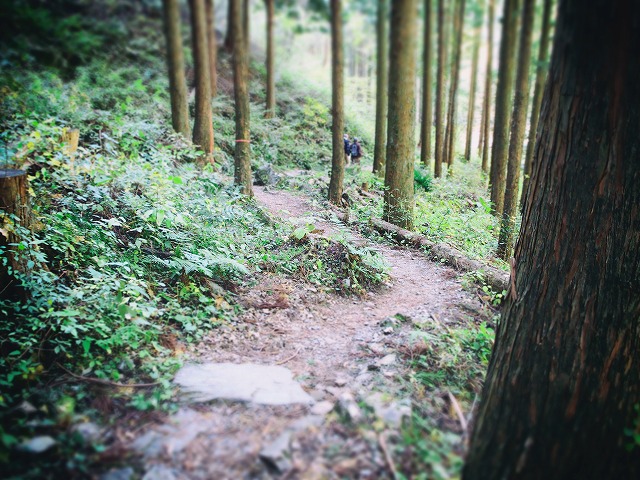 f:id:ikashiya:20171115230856j:plain