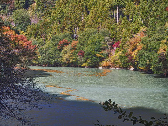 f:id:ikashiya:20171115231155j:plain