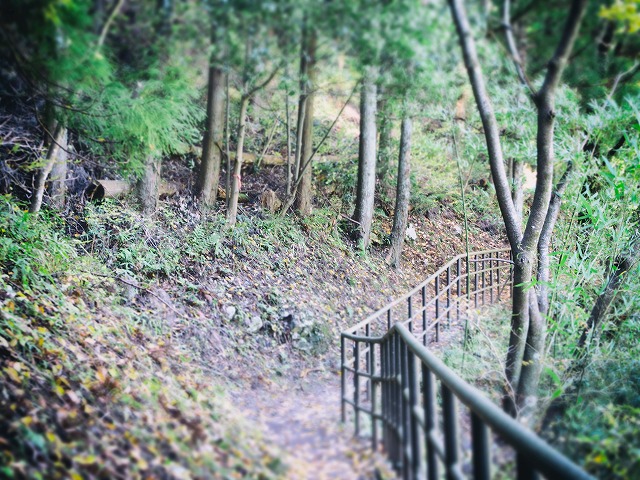 f:id:ikashiya:20171115231200j:plain