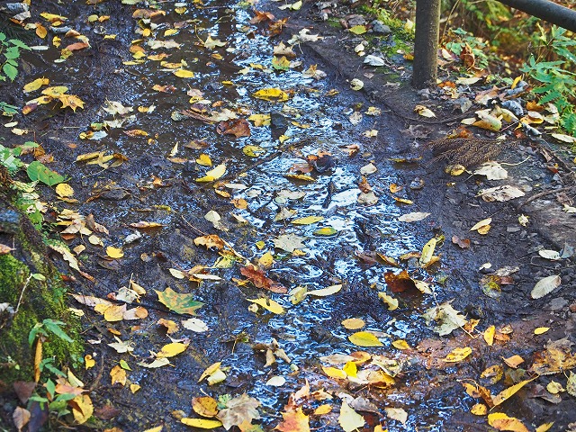 f:id:ikashiya:20171115231407j:plain