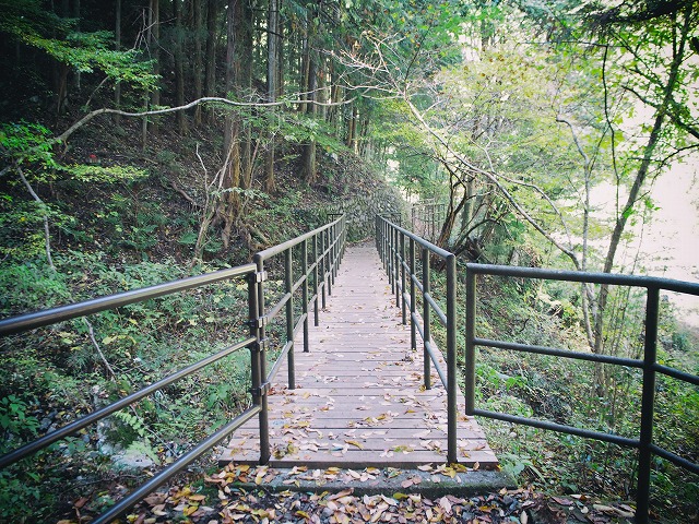 f:id:ikashiya:20171115231613j:plain