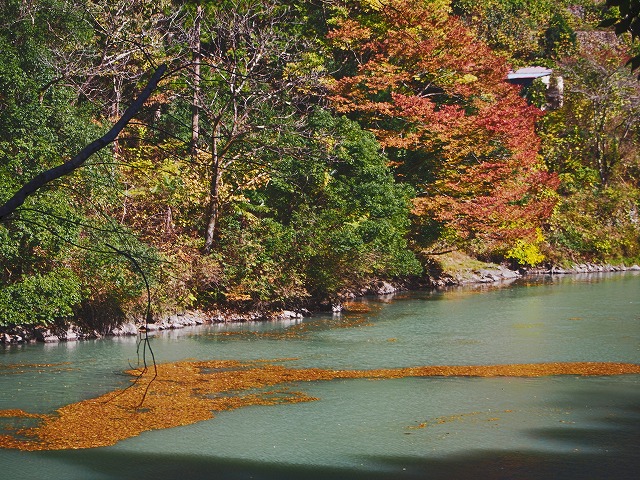 f:id:ikashiya:20171115231620j:plain