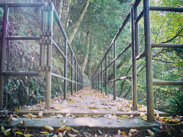 f:id:ikashiya:20171115231621j:plain