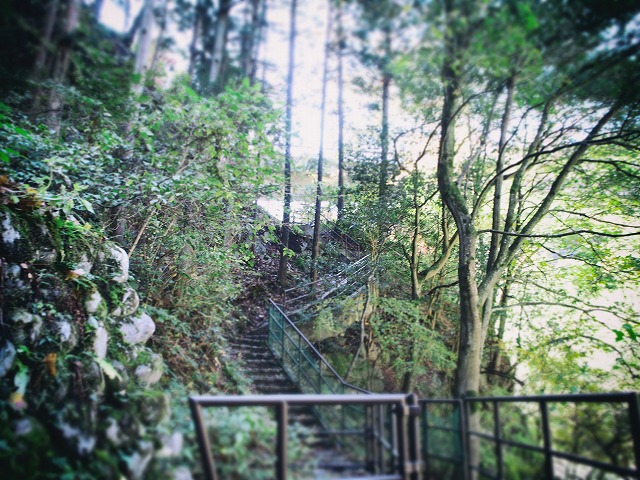 f:id:ikashiya:20171115232215j:plain